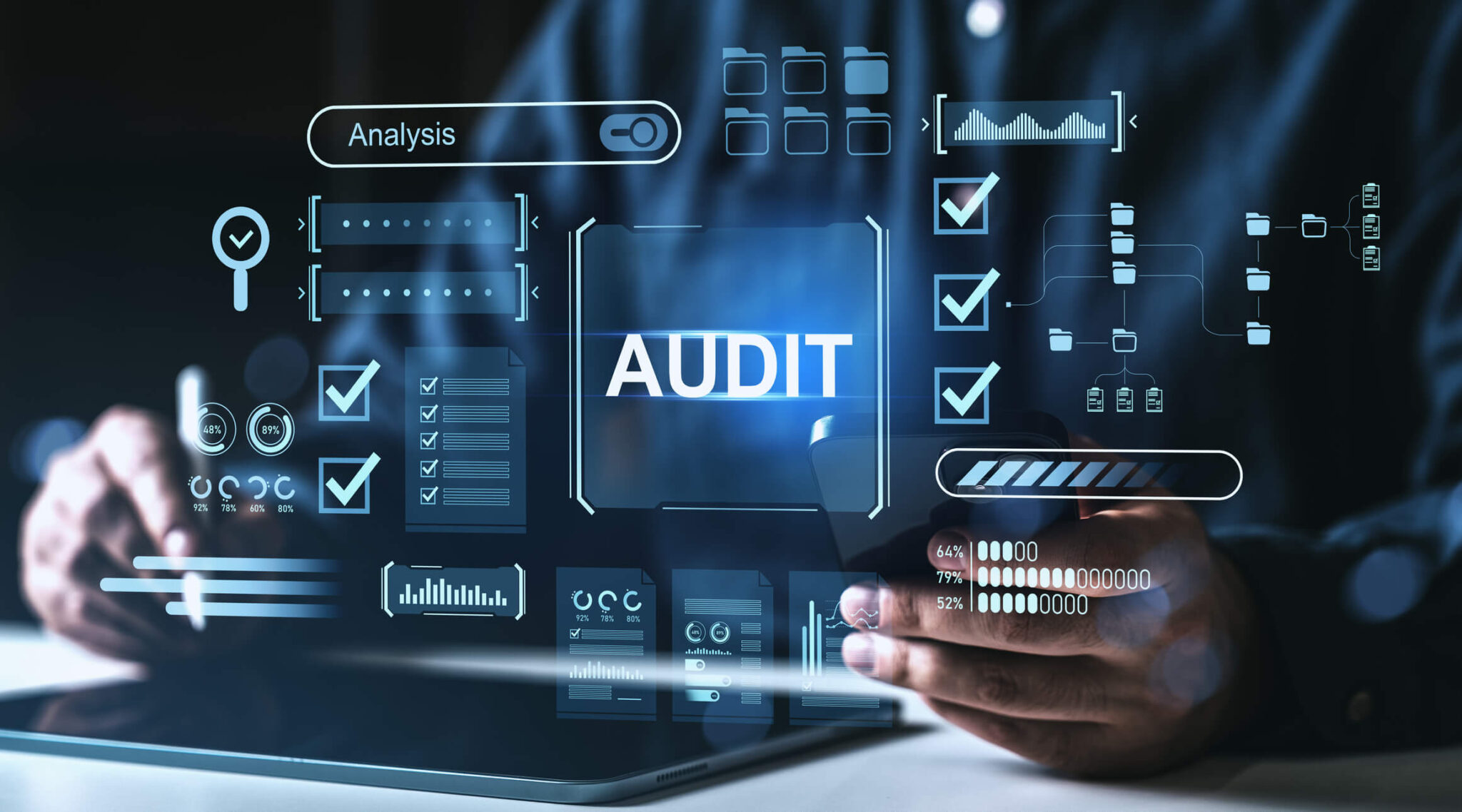 financial audit digital interface