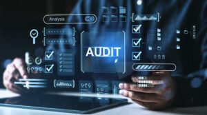 financial audit digital interface