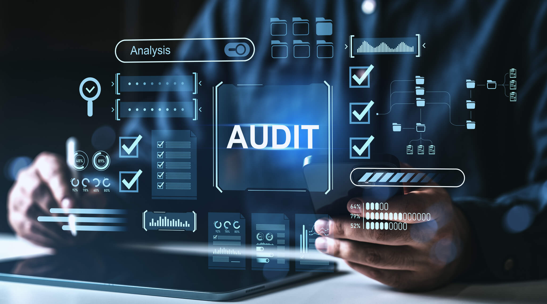 financial audit digital interface